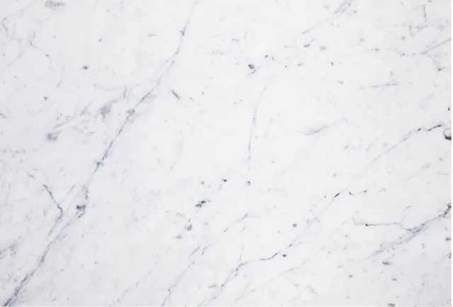Amostra de mármore Carrarinha, fundo branco com veios finos cinza-azulados